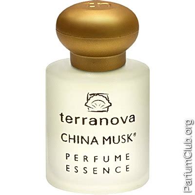 terranova china musk.